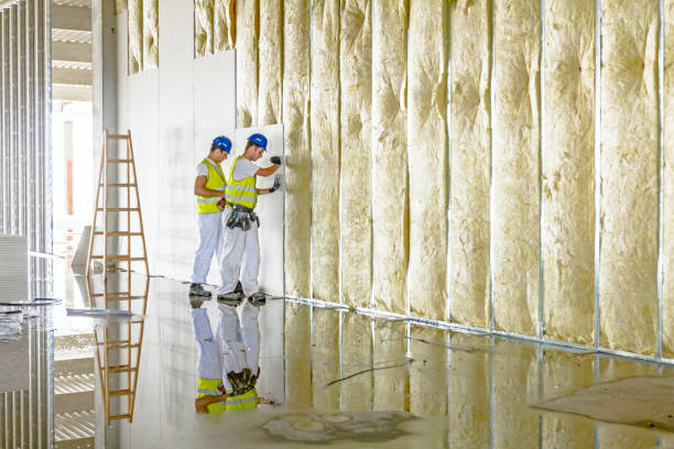 Best Insulation Maintenance and Repair in Alpha, NJ